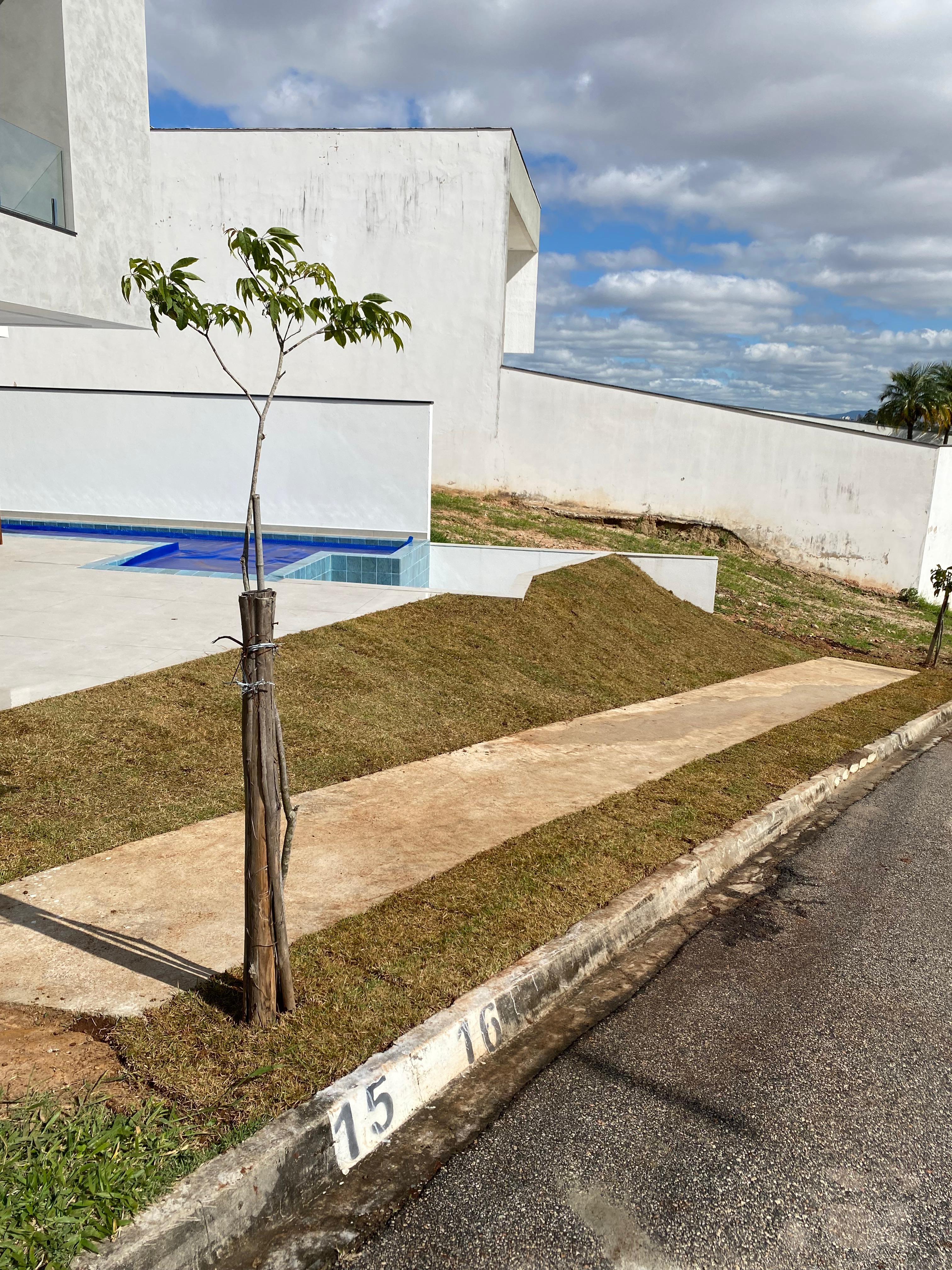 Jardim depois da execução da Big Flora